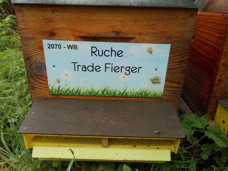 La ruche Trade Fierger